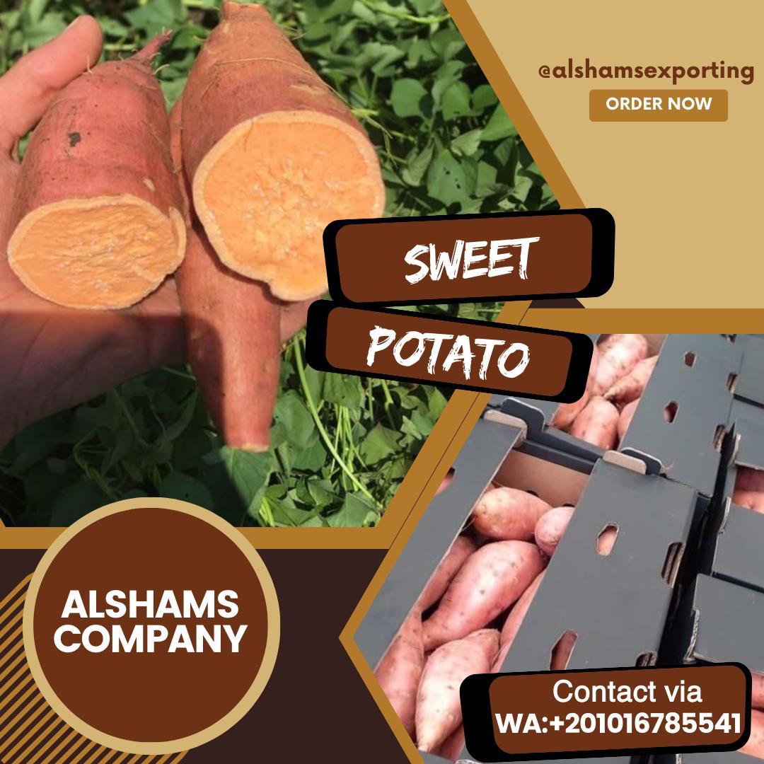 sweet potatoes
